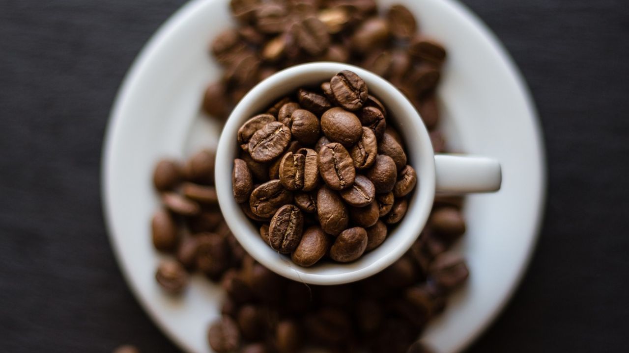 Coffee: কফিতেই কয়েক হাজার কোটি রোজগার ভারতের, ৬ মাসেই ছুঁল রেকর্ড