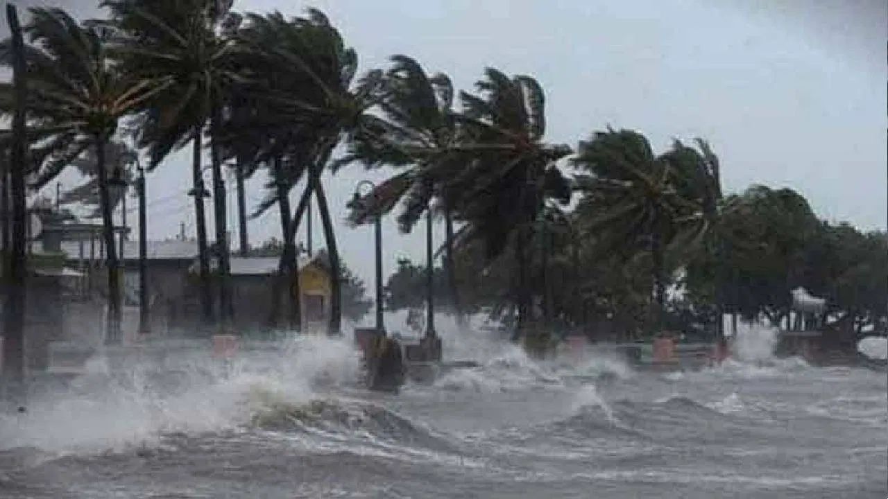 Cyclone Update: শনিবার বিকেলেই আছড়ে পড়ছে সাইক্লোন 'ফেইঞ্জল', জারি লাল সতর্কতা, ৯০ কিমি বেগে বইবে ঝড়