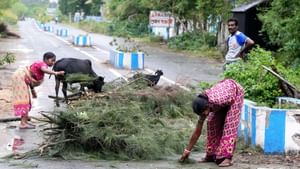 Cyclone Dana Live: অবশেষে শক্তি হারাল ‘দানা’, শহর থেকে জেলা- দুর্ভোগের ছবি জারি