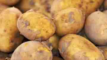 Potato: বাজারে মিলছে ফেক আলু, খেলে হতে পারে ক্যান্সারও