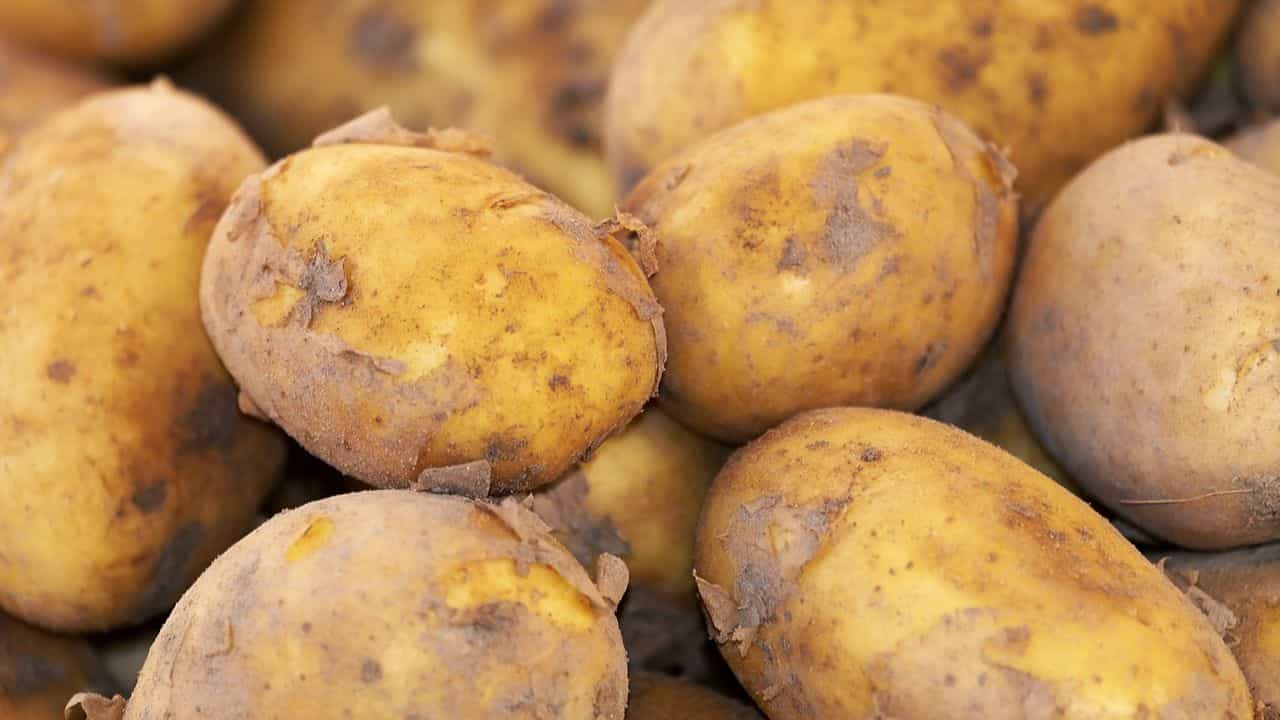 Potato Price: পরিস্থিতি এগোচ্ছে খারাপের দিকে, আলু নিয়ে রাতারাতি চরম সিদ্ধান্ত নবান্নের Potato Price: পরিস্থিতি এগোচ্ছে খারাপের দিকে, আলু নিয়ে রাতারাতি চরম সিদ্ধান্ত নবান্নের