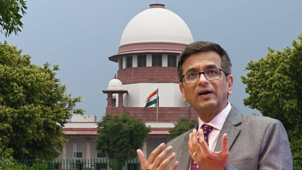 CJI Chandrachud: কাল তো আমার বাড়িতে গিয়ে জিজ্ঞেস করবেন, আমি কী করছি, আইনজীবীর ব্যবহারে ক্ষুব্ধ প্রধান বিচারপতি