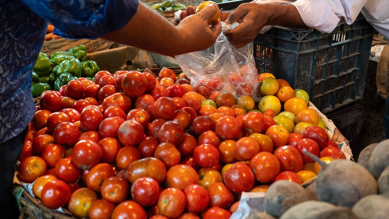 Tomato Price: ১০০ ছুঁয়ে ফেলল টমেটো, ২৪ ঘণ্টার মধ্য়ে লাফিয়ে বাড়ল দাম