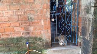 Naihati: নৈহাটিতে তৃণমূলকে পেটাল তৃণমূল, একজন ভর্তি হাসপাতালে, অপরজন হলেন গ্রেফতার