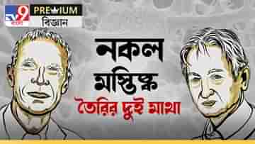 In Depth Story on Nobel Prize in Physics: মানুষের মাথাকে নকল করার ফর্মুলা লিখে নোবেল হপফিল্ড-হিন্টনের, জানুন সেই অসাধ্য সাধনের গল্প