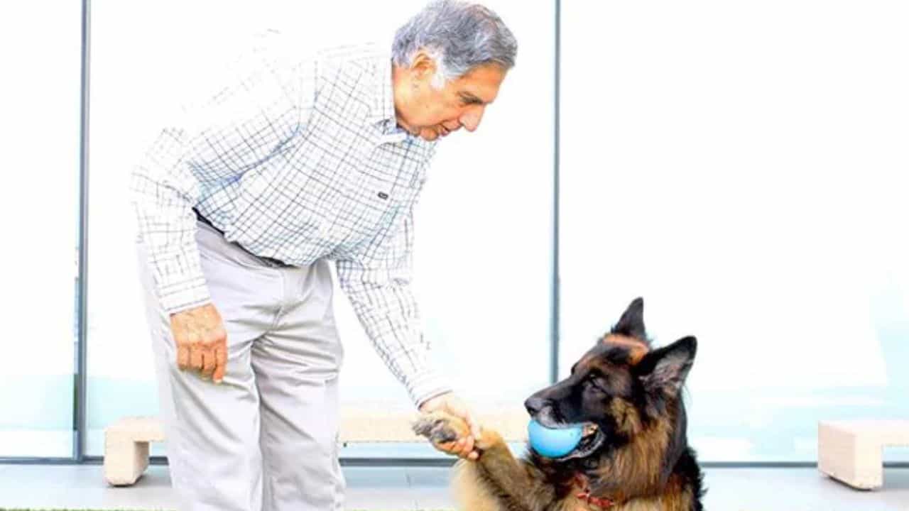 Ratan Tata: এই জন্যই তিনি রতন টাটা, উইলে লিখে গেলেন পোষ্য টিটোর নাম, সম্পত্তিতে ভাগ রাঁধুনি-পরিচারককেও Ratan Tata: এই জন্যই তিনি রতন টাটা, উইলে লিখে গেলেন পোষ্য টিটোর নাম, সম্পত্তিতে ভাগ রাঁধুনি-পরিচারককেও