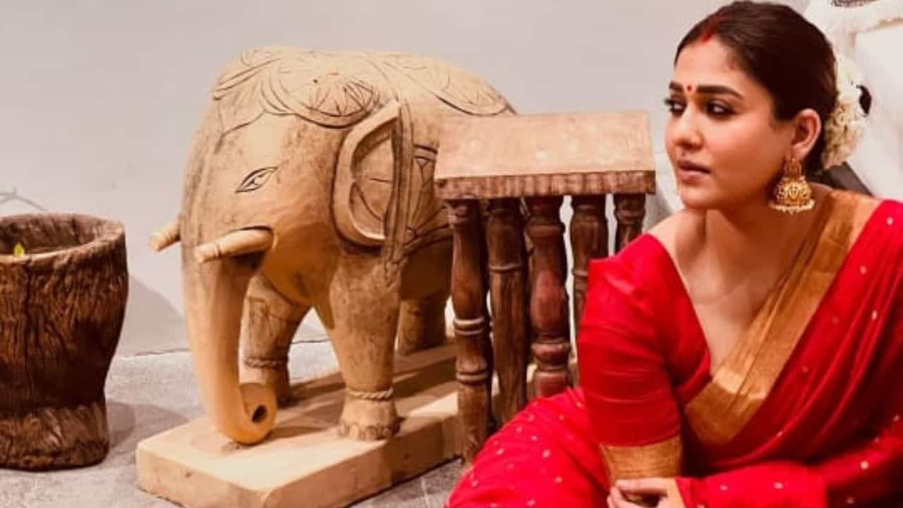 Dashami Special Fashion Tips: লাল শাড়ি না এমব্রয়ডারি ব্লাউজ, দশমীতে কোন লুকে হয়ে উঠবেন মোহময়ী? Dashami Special Fashion Tips: লাল শাড়ি না এমব্রয়ডারি ব্লাউজ, দশমীতে কোন লুকে হয়ে উঠবেন মোহময়ী?