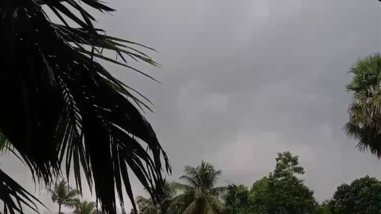 Latest Weather Update: ফেইঞ্জালের প্রভাব বাংলাতেও, বৃষ্টি হবে কোথায়-কোথায়?