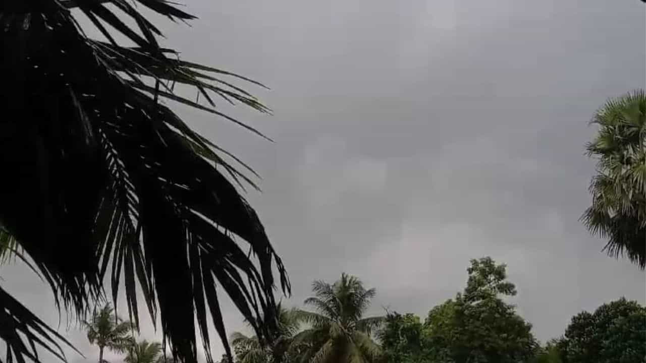Latest Weather Update: ফেইঞ্জালের প্রভাব বাংলাতেও, বৃষ্টি হবে কোথায়-কোথায়? Latest Weather Update: ফেইঞ্জালের প্রভাব বাংলাতেও, বৃষ্টি হবে কোথায়-কোথায়?