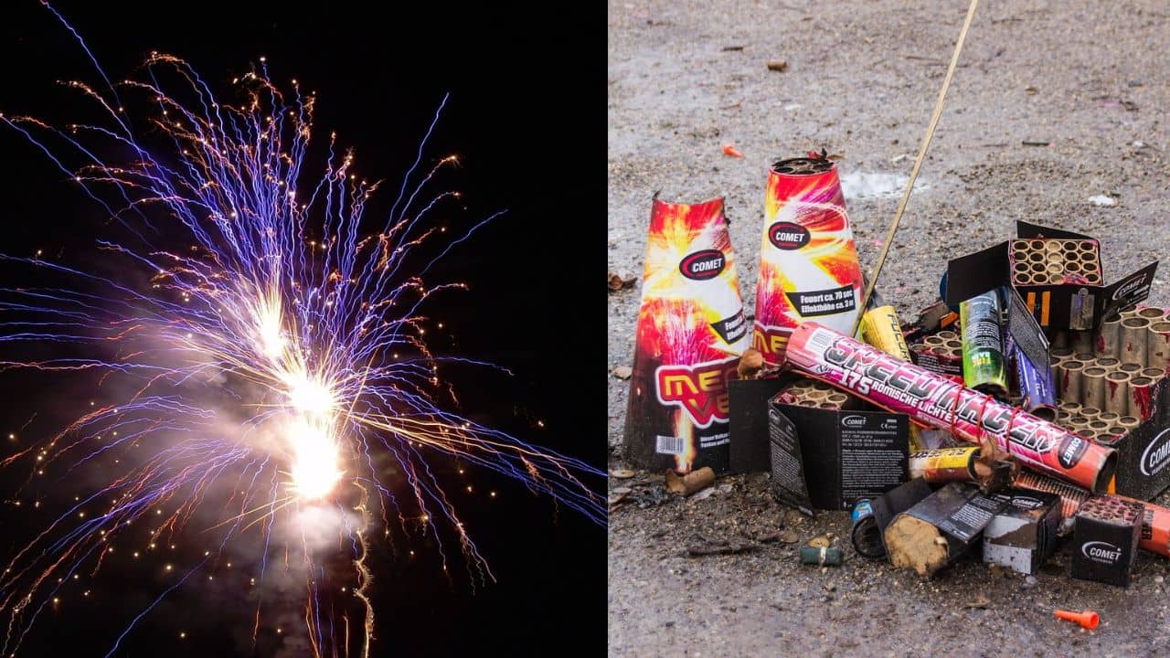 Insurance: বাজি পোড়াতে গিয়ে বিপত্তি ঘটলে কি বিমার কভারেজ পাবেন? জানুন নিয়ম