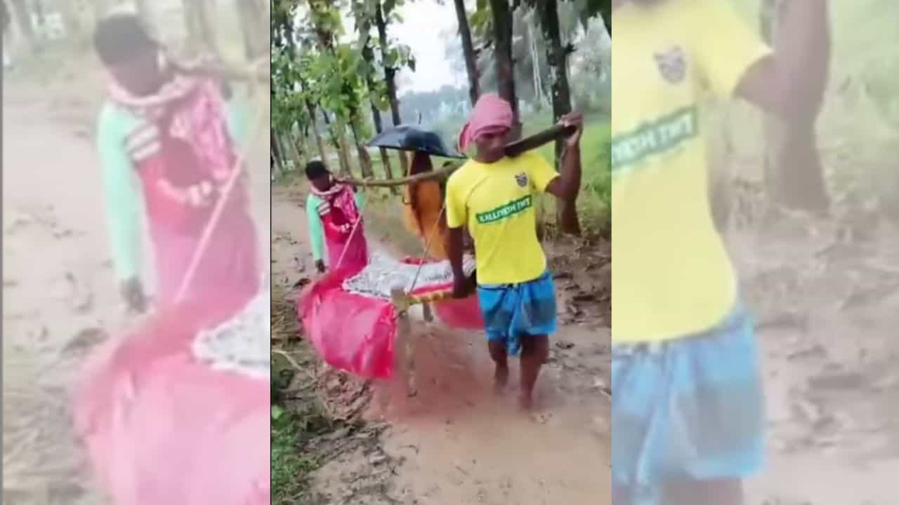 Malda: রাস্তার এমন দশা যে ঢোকে না অ্যাম্বুলেন্স! খাটিয়া করে হাসপাতালে গেলেন রোগী Malda: রাস্তার এমন দশা যে ঢোকে না অ্যাম্বুলেন্স! খাটিয়া করে হাসপাতালে গেলেন রোগী