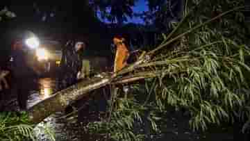 Cyclone Dana update: বঙ্গ নয়, ল্যান্ডফলের পর ছত্তীসগঢ়-মধ্য প্রদেশের দিকে এগোচ্ছে তীব্র ঘূর্ণীঝড় দানা