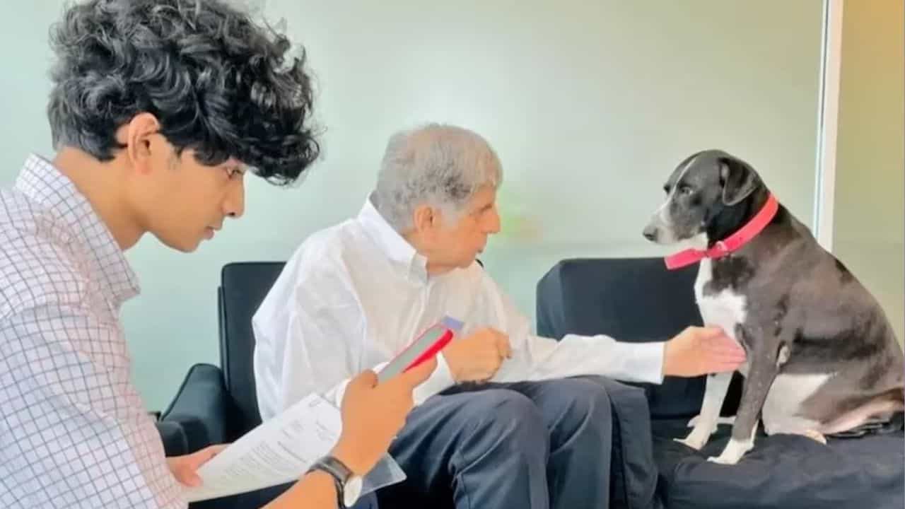 Ratan Tata: রতন টাটার শোকে পৃথিবী ছাড়ল 'গোয়া'ও?