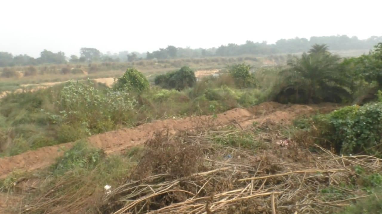 Bankura: অনুমতি ছাড়াই নির্মাণ? পুলিশ ধরতেই ব্যবসায়ী বললেন...
