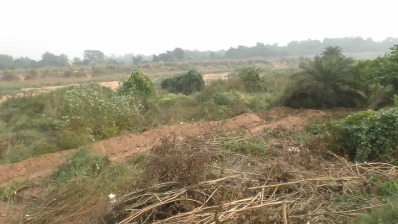 Bankura: অনুমতি ছাড়াই নির্মাণ? পুলিশ ধরতেই ব্যবসায়ী বললেন... Bankura: অনুমতি ছাড়াই নির্মাণ? পুলিশ ধরতেই ব্যবসায়ী বললেন...