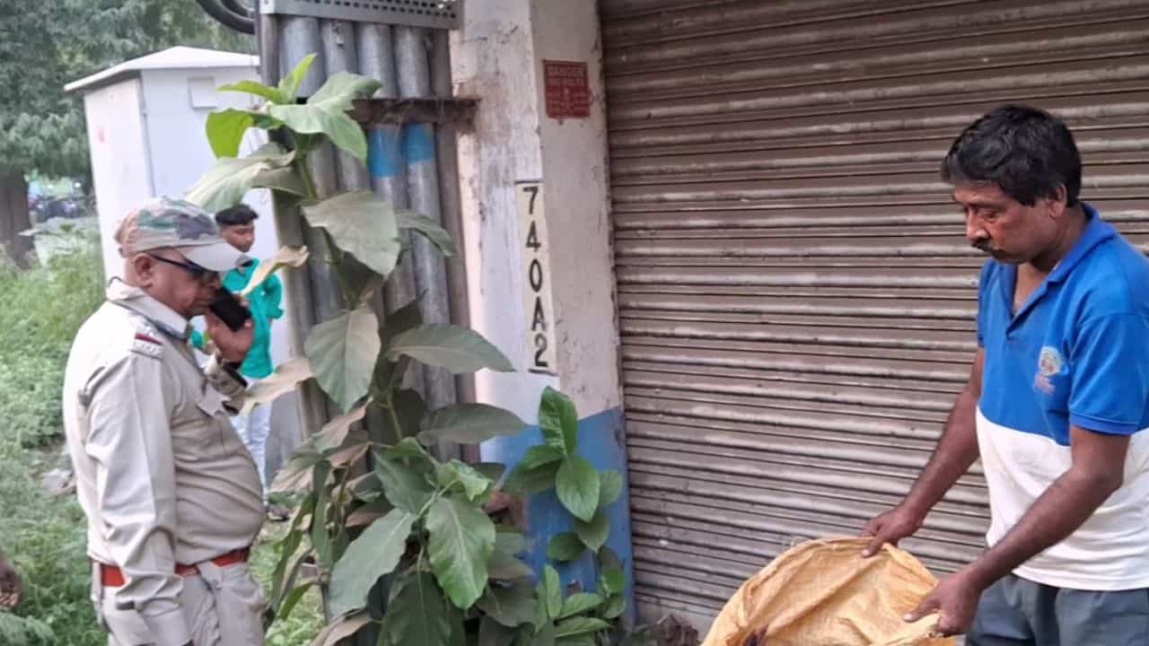 Bardhaman: একটা খচখচ আওয়াজ পেয়েছিলেন, হাসপাতালের গোডাউনে ঢুকতেই তাজ্জব বনে গেলেন নিরাপত্তারক্ষী Bardhaman: একটা খচখচ আওয়াজ পেয়েছিলেন, হাসপাতালের গোডাউনে ঢুকতেই তাজ্জব বনে গেলেন নিরাপত্তারক্ষী