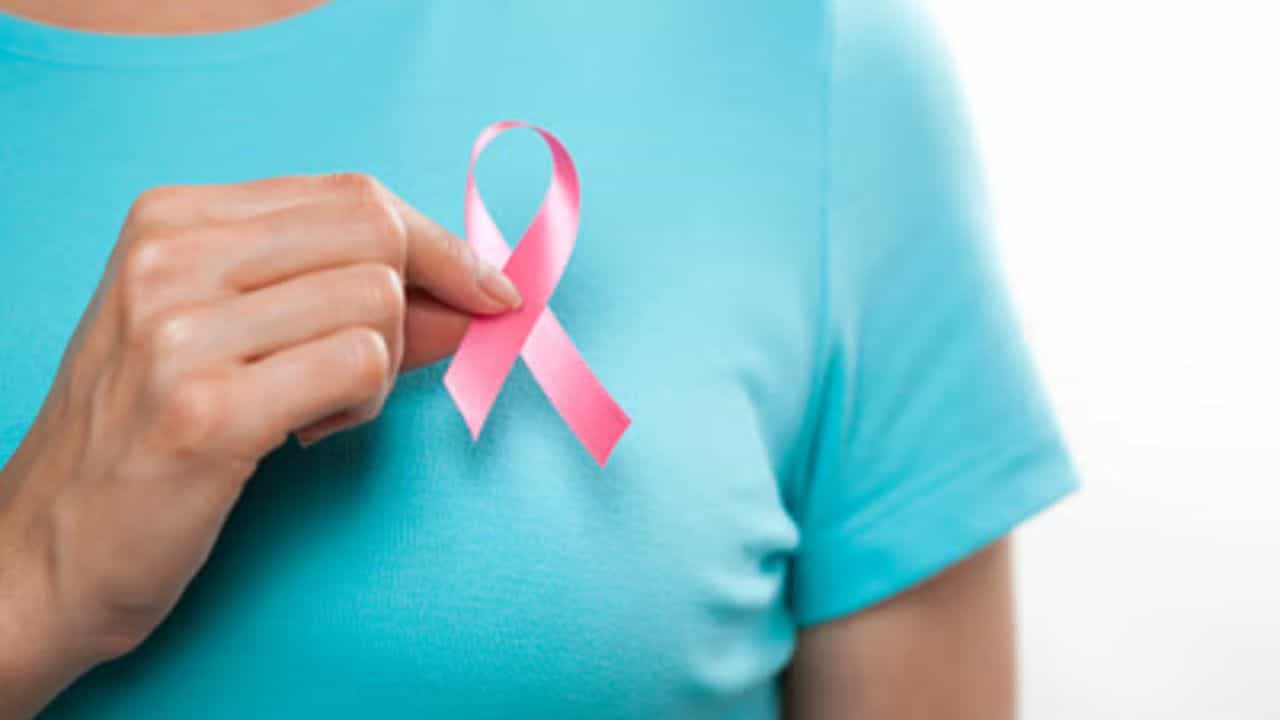 Breast Cancer: রোজ খাবারের সঙ্গে শরীরে যাচ্ছে ক্যানসারের যৌগ! কী ভাবে জানেন? Breast Cancer: রোজ খাবারের সঙ্গে শরীরে যাচ্ছে ক্যানসারের যৌগ! কী ভাবে জানেন?