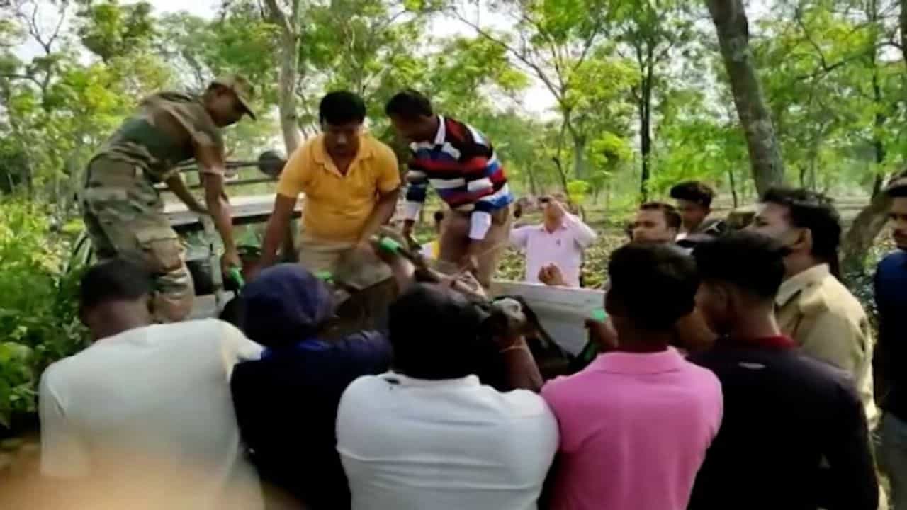 Jalpaiguri: নালায় পড়ে সন্তানের দেহ, সরকারি গাড়ি উল্টে দিল ক্ষুদ্ধ মা! Jalpaiguri: নালায় পড়ে সন্তানের দেহ, সরকারি গাড়ি উল্টে দিল ক্ষুদ্ধ মা!