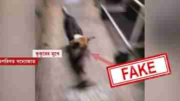 Bankura:  বাঁকুড়ার হাসপাতালে অপরিণত শিশুকে কুকুরের মুখে করে নিয়ে যাওয়ার ছবি ফেক, জানাল স্বাস্থ্য দফতর