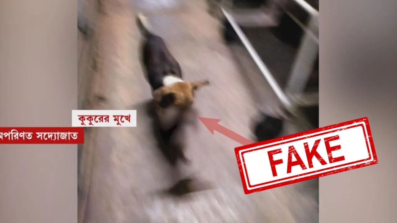 Bankura:  বাঁকুড়ার হাসপাতালে অপরিণত শিশুকে কুকুরের মুখে করে নিয়ে যাওয়ার ছবি 'ফেক', জানাল স্বাস্থ্য দফতর