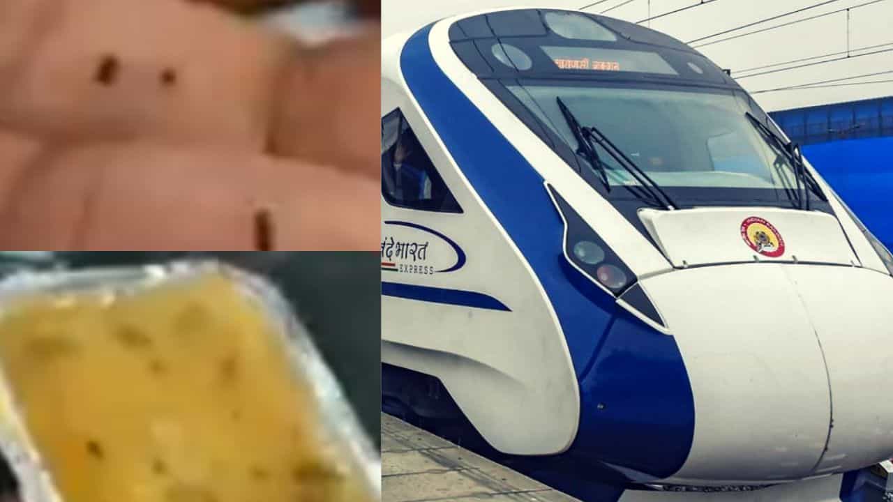 পেটে প্রচণ্ড খিদে, তাড়াহুড়োতেই চুমুক দিয়েছিলেন সাম্বারে, জিরে বদলে মুখে যা ঠেকল, নাড়িভুড়ি বেরিয়ে আসার জোগাড়! পেটে প্রচণ্ড খিদে, তাড়াহুড়োতেই চুমুক দিয়েছিলেন সাম্বারে, জিরে বদলে মুখে যা ঠেকল, নাড়িভুড়ি বেরিয়ে আসার জোগাড়!