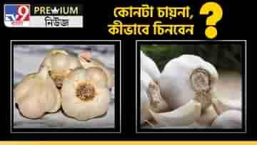 Chinese Garlic: বাংলার বাজারে বিষ ছড়াচ্ছে চিন! বিষাক্ত চিনা রসুন চিনবেন কী করে?