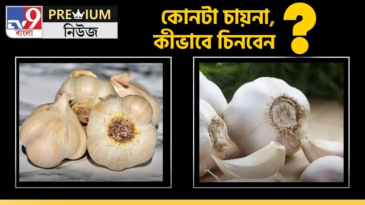 Chinese Garlic: বাংলার বাজারে 'বিষ' ছড়াচ্ছে চিন! 'বিষাক্ত' চিনা রসুন চিনবেন কী করে?