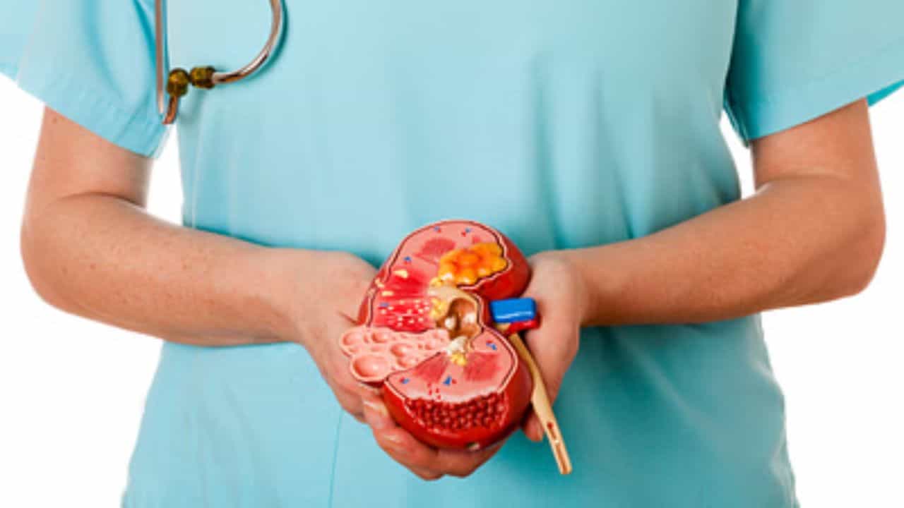 Kidney Health: জল খেলেও খারাপ হতে পারে কিডনি! কী খেলে ভাল থাকে জানেন? Kidney Health: জল খেলেও খারাপ হতে পারে কিডনি! কী খেলে ভাল থাকে জানেন?