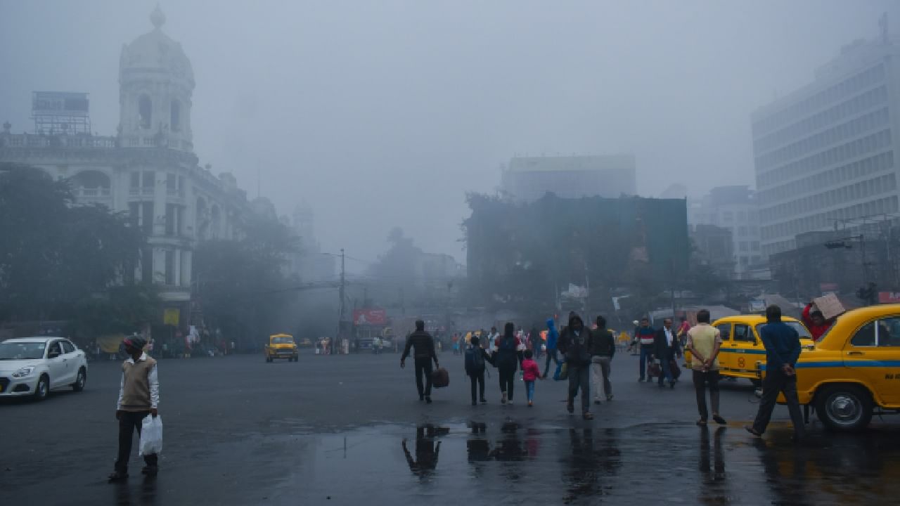 Winter Update: উনিশের ঘরে কলকাতার পারদ, আপনার জেলায় কতটা নামল তাপমাত্রা? কী বলছে হাওয়া অফিস