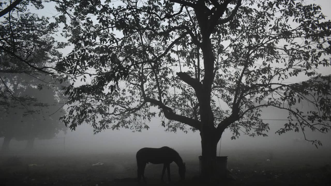Winter Update: শীতের পথে কাঁটা কে? কী বলছে হাওয়া অফিস?