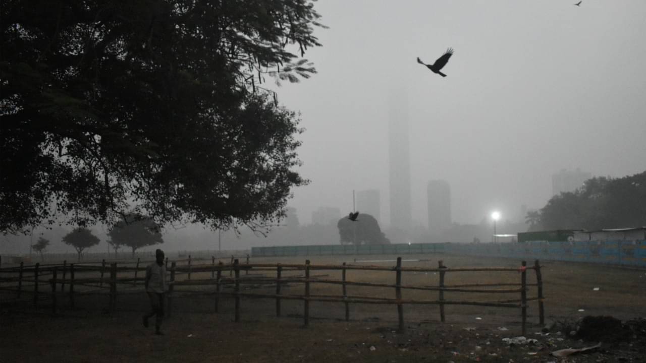 Weather Update: আর ২-৩ দিন! আবারও বড় পরিবর্তন আসছে আবহাওয়ায়