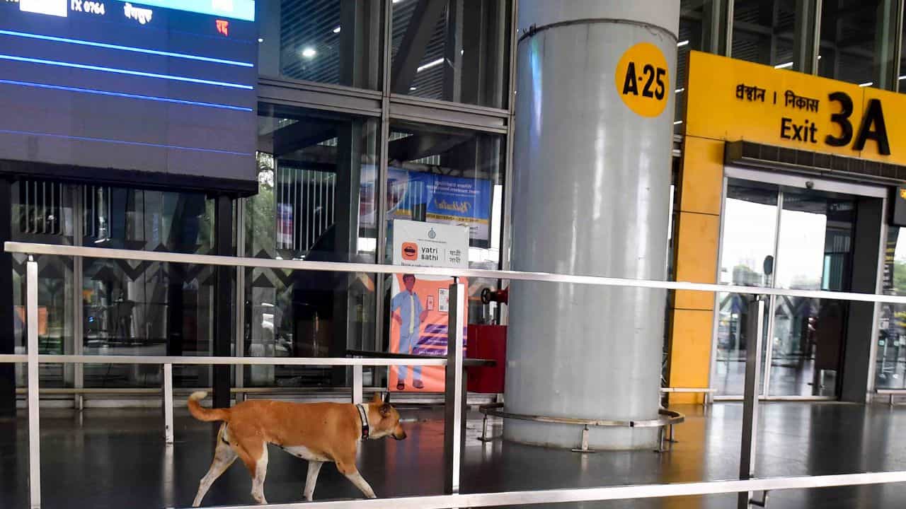 Kolkata Airport: 'বিমানে বোমা রাখা আছে', উড়ানের আগে চিৎকার যাত্রীর, হুলস্থূল কলকাতা বিমানবন্দরে Kolkata Airport: 'বিমানে বোমা রাখা আছে', উড়ানের আগে চিৎকার যাত্রীর, হুলস্থূল কলকাতা বিমানবন্দরে