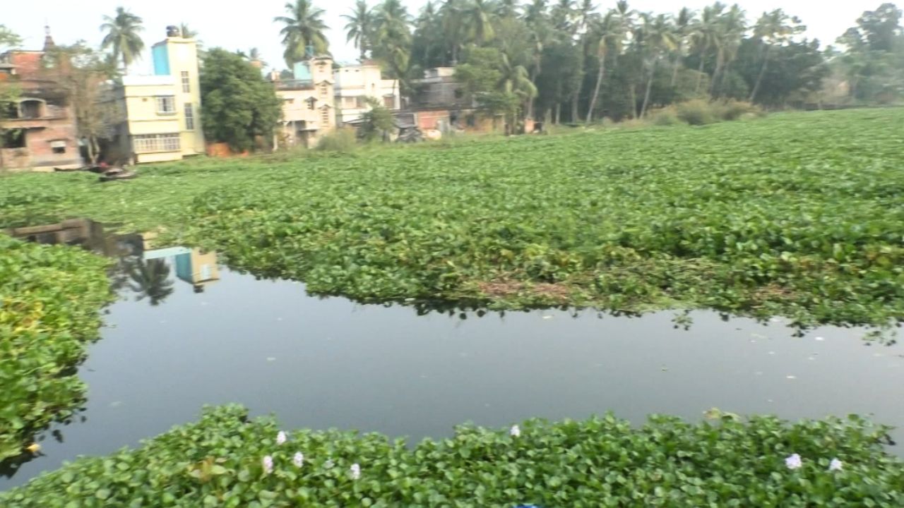 Ichamati River: এটা বিভূতিভূষণের সেই 'ইছামতী', কীভাবে হল এমন হাল ...