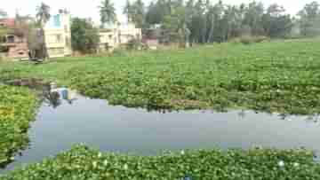 Ichamati River: এটা বিভূতিভূষণের সেই ইছামতী, কীভাবে হল এমন হাল!