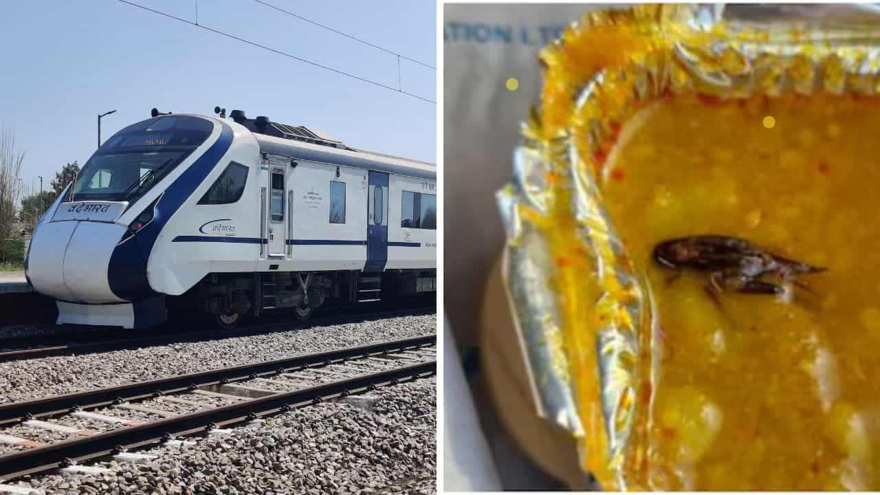 IRCTC: ট্রেনের খাবারে ভাসে মরা আরশোলা কিংবা টিকটিকি! এবার বড় সিদ্ধান্ত নিল IRCTC IRCTC: ট্রেনের খাবারে ভাসে মরা আরশোলা কিংবা টিকটিকি! এবার বড় সিদ্ধান্ত নিল IRCTC