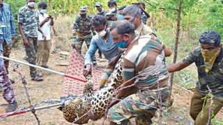 Elephant Attack: জলদাপাড়ায় হাতির হামলায় প্রাণ গেল ৩ মহিলার, হাসপাতালে মৃত্যুর সঙ্গে পাঞ্জা লড়ছেন আরও ১