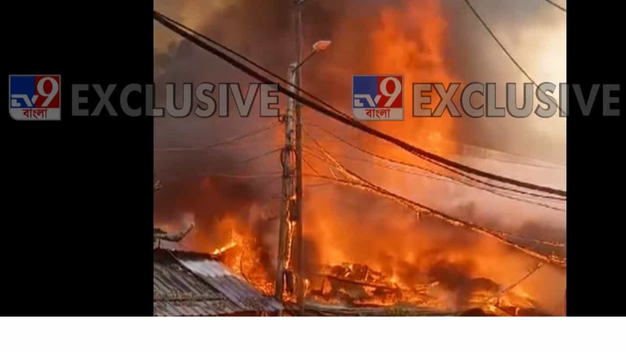 Fire: লর্ডসের মোড়ে ভয়াবহ আগুন, কাজ করছে ১৬ টি ইঞ্জিন Fire: লর্ডসের মোড়ে ভয়াবহ আগুন, কাজ করছে ১৬ টি ইঞ্জিন