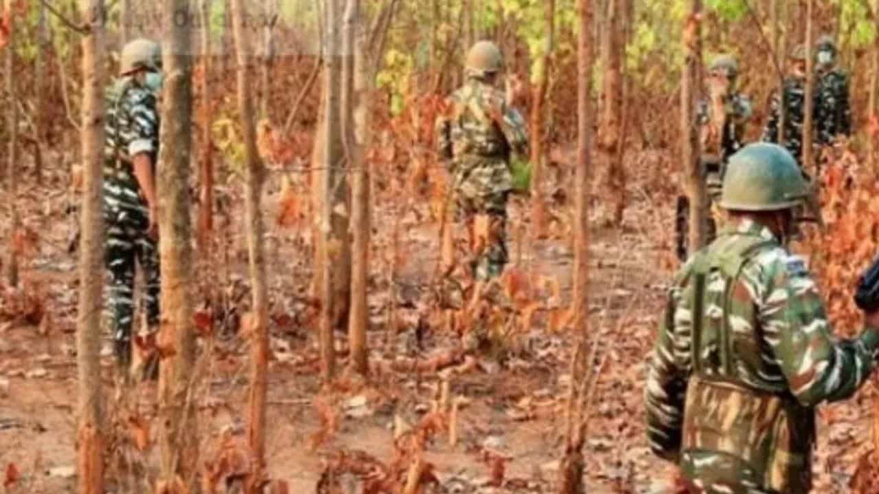 Maoists killed: জঙ্গল কেঁপে উঠল গুলির লড়াইয়ে, খতম ৫ মাওবাদী Maoists killed: জঙ্গল কেঁপে উঠল গুলির লড়াইয়ে, খতম ৫ মাওবাদী