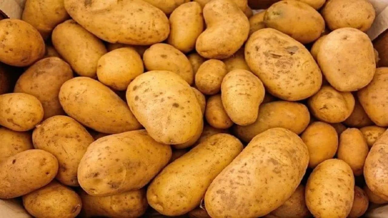 Potato prices may hike: মঙ্গলবার থেকে সরবরাহ বন্ধ, বাজারে গিয়ে আলু পাবেন?