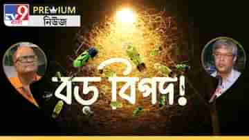 কোথায় গেল শ্যামাপোকারা? বিশেষজ্ঞরা বলছেন, বড়সড় বিপদ আসতে চলেছে