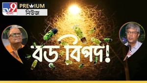 কোথায় গেল শ্যামাপোকারা? বিশেষজ্ঞরা বলছেন, ‘বড়সড় বিপদ আসতে চলেছে’