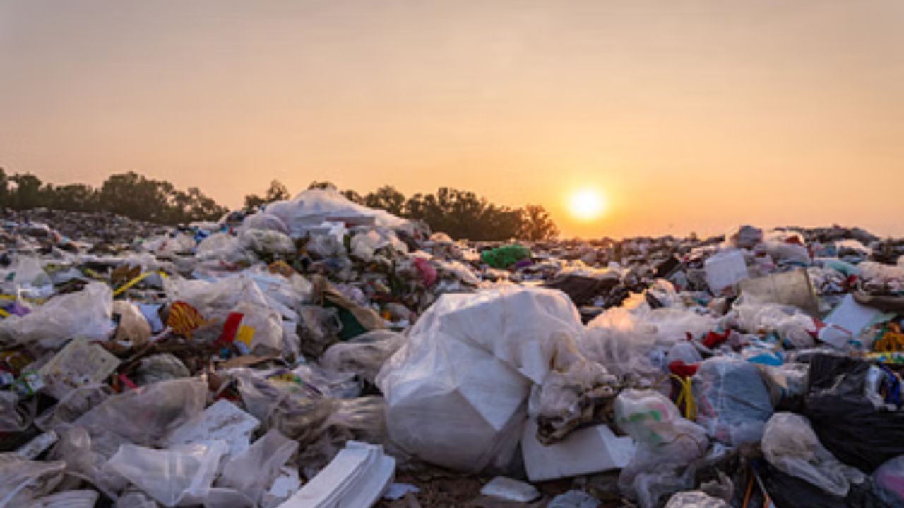 Sikkim Waste Dumped in Bengal: বাংলায় জঞ্জাল ফেলে যাচ্ছে সিকিম! নতুন  'সুগন্ধে'র জেরে বিপদে শিশু থেকে বনের প্রাণী