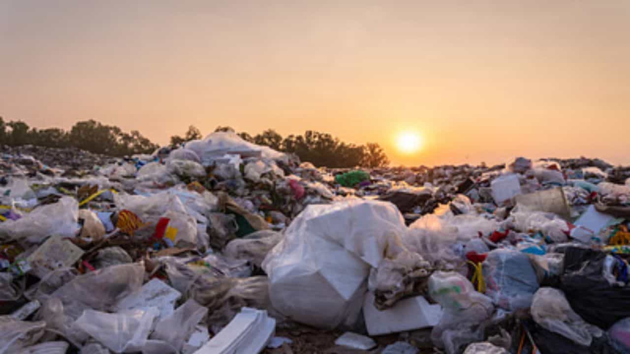 Sikkim Waste Dumped in Bengal: বাংলায় জঞ্জাল ফেলে যাচ্ছে সিকিম! নতুন 'সুগন্ধে'র জেরে বিপদে শিশু থেকে বনের প্রাণী Sikkim Waste Dumped in Bengal: বাংলায় জঞ্জাল ফেলে যাচ্ছে সিকিম! নতুন 'সুগন্ধে'র জেরে বিপদে শিশু থেকে বনের প্রাণী