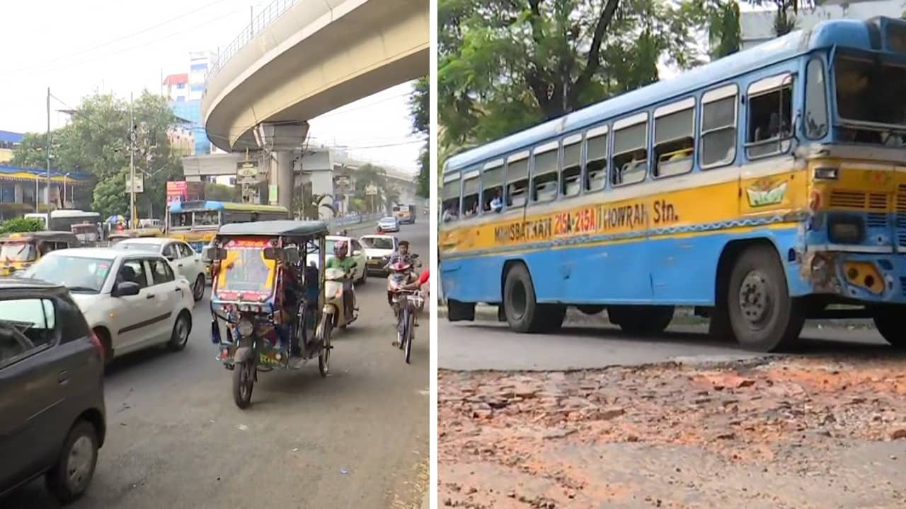 Salt Lake: উঠেছে চামড়া, বেরিয়ে এসেছে কঙ্কালসার দশা, রাস্তার যন্ত্রণায় ভুগছেন সল্টলেকের লোকজন
