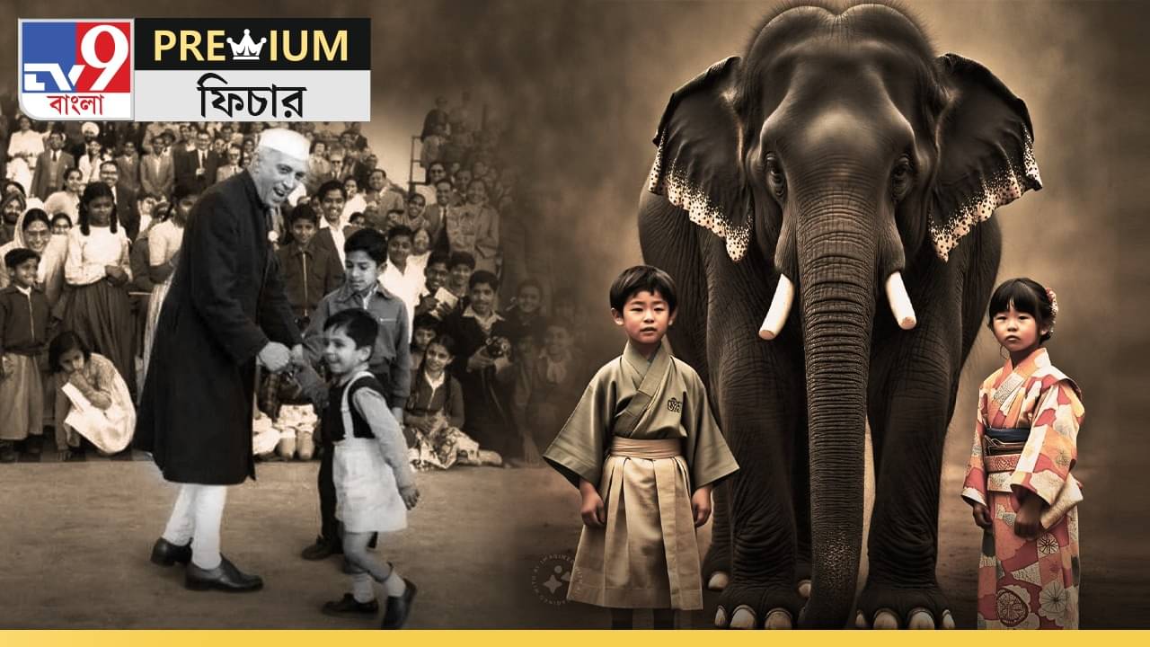 Childrens Day 2024: শিশুদের আবদার হাতি চাই, ইন্দিরাকে পাঠিয়েছিলেন নেহরু