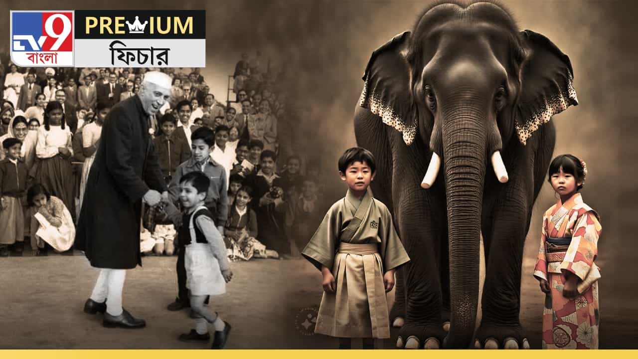 Children's Day 2024: শিশুদের আবদার 'হাতি চাই', 'ইন্দিরাকে' পাঠিয়েছিলেন নেহরু