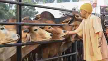 Yogi Adityanath death threat: যোগীকে প্রাণনাশের হুমকি দিয়েছিল ২৪ বছরের আইটি কর্মী ফতিমা খান!