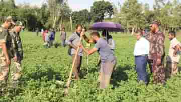 BSF in Border: গায়ের জোরে ৯ বছর ধরে দখল! শেষ পর্যন্ত বাংলাদেশিদের হাত থেকে এপারের কৃষকের জমি উদ্ধার করল BSF