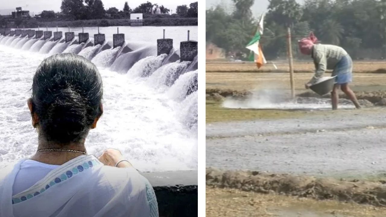 Bankura: অবাক জলপানের নতুন সংযোজন DVC-র জল! চাইলেও পাচ্ছেন না চাষিরা, হঠাৎ কী হল?