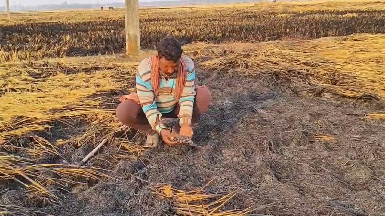 Bankura: আলু চাষের আগেই বড় বিপত্তি, মাথায় হাত কৃষকদের, নাড়া পোড়াতে গিয়ে আগুনে পুড়ে ছাই ৫ বিঘা জমির পাকা ধান